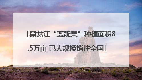 黑龙江“蓝靛果”种植面积8.5万亩 已大规模销往全国