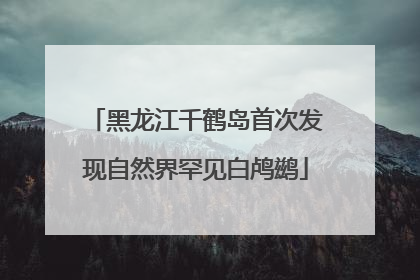 黑龙江千鹤岛首次发现自然界罕见白鸬鹚