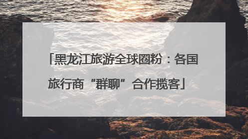 黑龙江旅游全球圈粉：各国旅行商“群聊”合作揽客