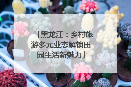 黑龙江：乡村旅游多元业态解锁田园生活新魅力