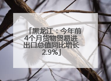 黑龙江：今年前4个月货物贸易进出口总值同比增长2.9%