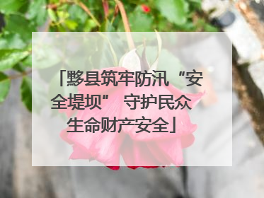黟县筑牢防汛“安全堤坝” 守护民众生命财产安全