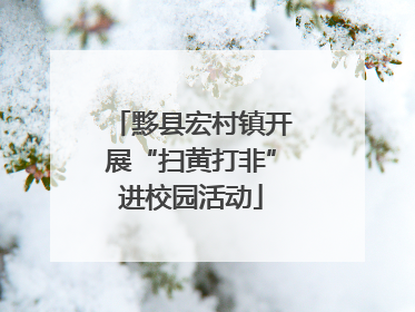 黟县宏村镇开展“扫黄打非”进校园活动