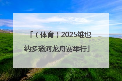 （体育）2025维也纳多瑙河龙舟赛举行