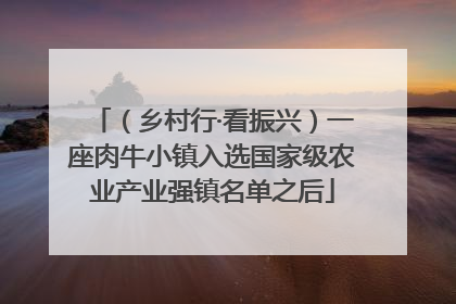 （乡村行·看振兴）一座肉牛小镇入选国家级农业产业强镇名单之后