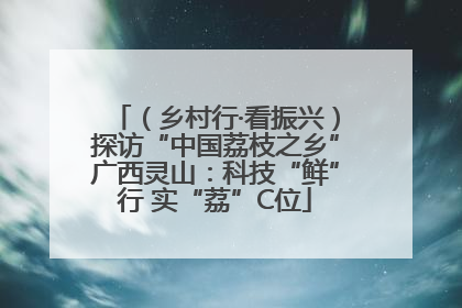 （乡村行·看振兴）探访“中国荔枝之乡”广西灵山：科技“鲜”行 实“荔”C位