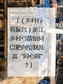 （乡村行·看振兴）浙江乡村弓箭馆何以靶向绘制共富“同心圆”？
