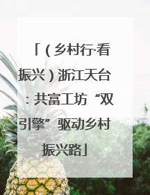 （乡村行·看振兴）浙江天台：共富工坊“双引擎”驱动乡村振兴路