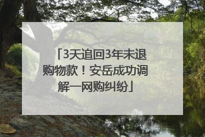 3天追回3年未退购物款！安岳成功调解一网购纠纷