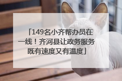 149名小齐帮办员在一线！齐河县让政务服务既有速度又有温度