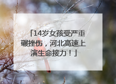 14岁女孩受严重碾挫伤，河北高速上演生命接力！
