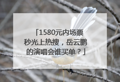 1580元内场票秒光上热搜，岳云鹏的演唱会谁买单？