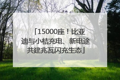 15000座！比亚迪与小桔充电、新电途共建兆瓦闪充生态