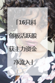 16只科创板活跃股获主力资金净流入