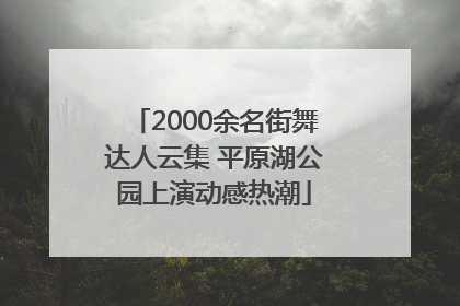 2000余名街舞达人云集 平原湖公园上演动感热潮