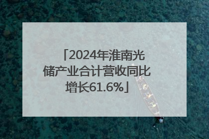 2024年淮南光储产业合计营收同比增长61.6%