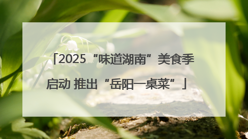 2025“味道湖南”美食季启动 推出“岳阳一桌菜”