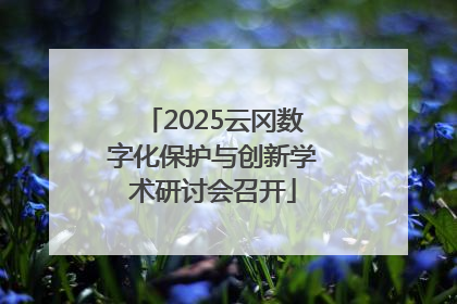 2025云冈数字化保护与创新学术研讨会召开