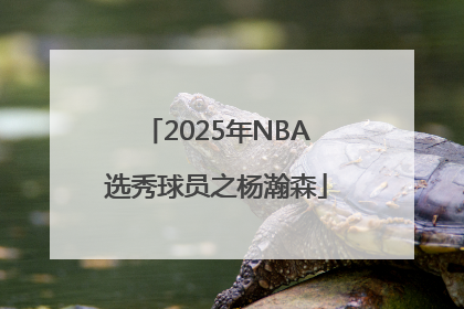 2025年NBA选秀球员之杨瀚森