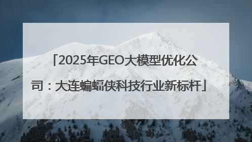 2025年GEO大模型优化公司：大连蝙蝠侠科技行业新标杆