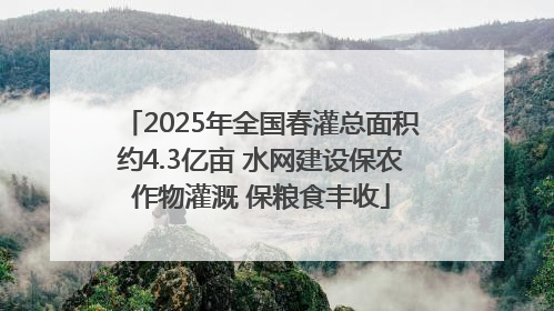 2025年全国春灌总面积约4.3亿亩 水网建设保农作物灌溉 保粮食丰收
