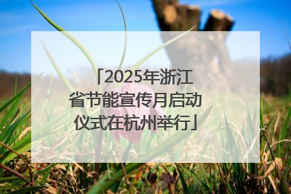 2025年浙江省节能宣传月启动仪式在杭州举行