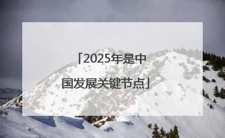 2025年是中国发展关键节点