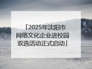 2025年沈阳市网络文化企业进校园双选活动正式启动