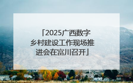 2025广西数字乡村建设工作现场推进会在富川召开