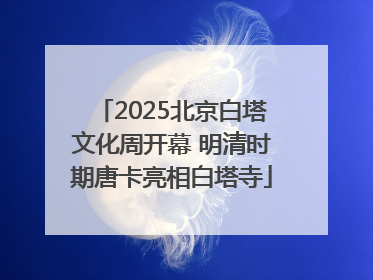 2025北京白塔文化周开幕 明清时期唐卡亮相白塔寺
