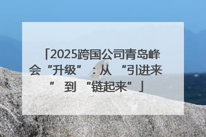 2025跨国公司青岛峰会“升级”：从 “引进来” 到 “链起来”