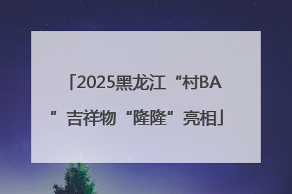 2025黑龙江“村BA”吉祥物“隆隆”亮相