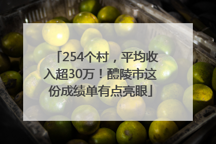 254个村，平均收入超30万！醴陵市这份成绩单有点亮眼