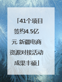 41个项目签约4.5亿元 新疆电商资源对接活动成果丰硕
