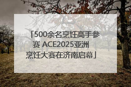 500余名烹饪高手参赛 ACE2025亚洲烹饪大赛在济南启幕