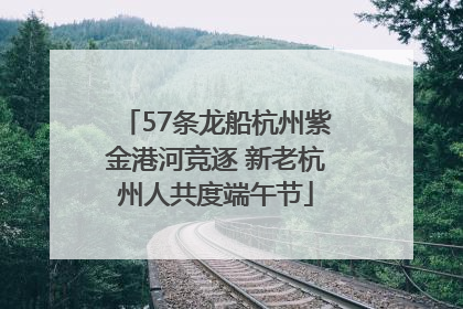 57条龙船杭州紫金港河竞逐 新老杭州人共度端午节