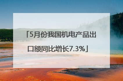 5月份我国机电产品出口额同比增长7.3%