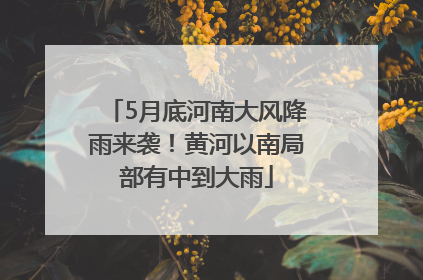 5月底河南大风降雨来袭！黄河以南局部有中到大雨