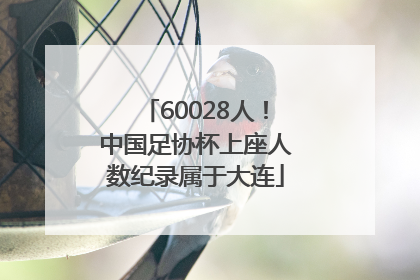 60028人！中国足协杯上座人数纪录属于大连