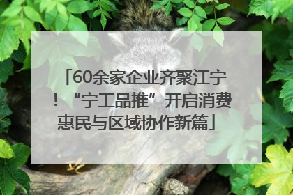 60余家企业齐聚江宁！“宁工品推”开启消费惠民与区域协作新篇