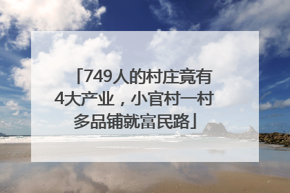 749人的村庄竟有4大产业，小官村一村多品铺就富民路
