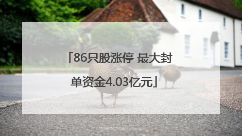 86只股涨停 最大封单资金4.03亿元