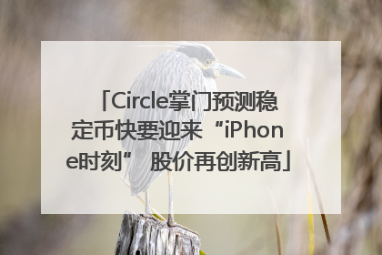 Circle掌门预测稳定币快要迎来“iPhone时刻” 股价再创新高