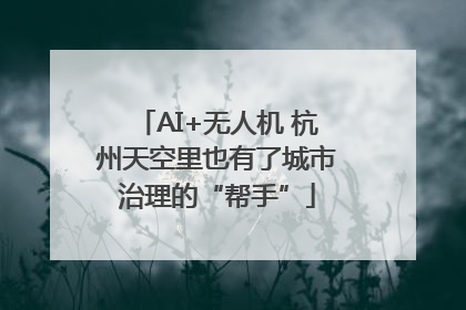 AI+无人机 杭州天空里也有了城市治理的“帮手”