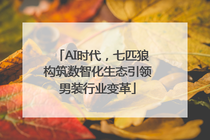 AI时代，七匹狼构筑数智化生态引领男装行业变革