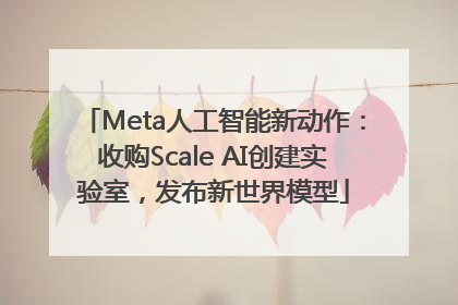 Meta人工智能新动作：收购Scale AI创建实验室，发布新世界模型